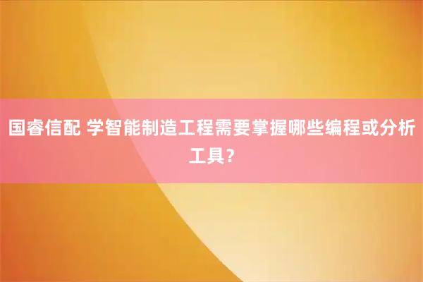 国睿信配 学智能制造工程需要掌握哪些编程或分析工具?